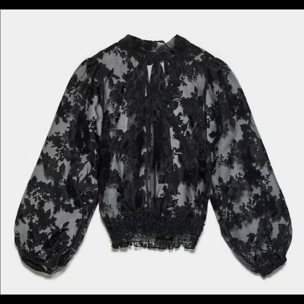 Zara Floral Organza Blouse